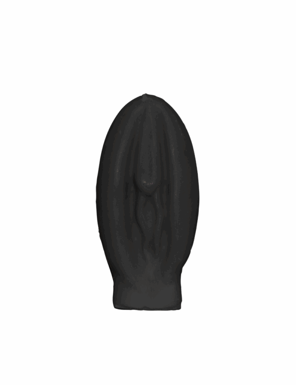 Female Genitalia