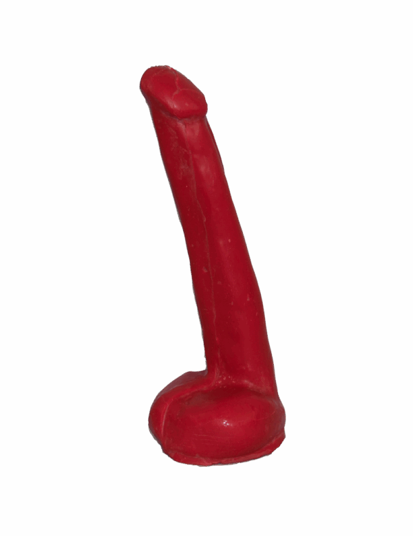 Male Genitalia