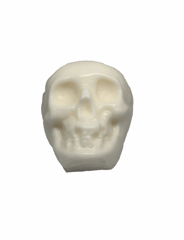 Skull Candle