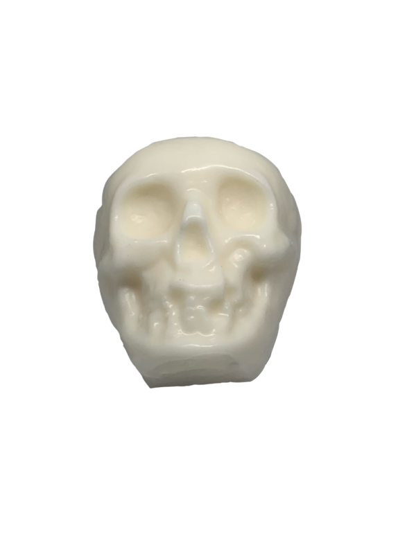 Skull Candle