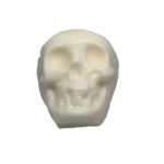 Skull Candle